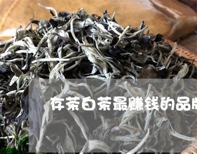 存茶白茶最赚钱的品牌是/2023102417248