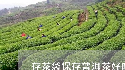 存茶袋保存普洱茶好吗/2023062837492