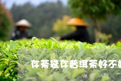 存茶袋存普洱茶好不好/2023072449389