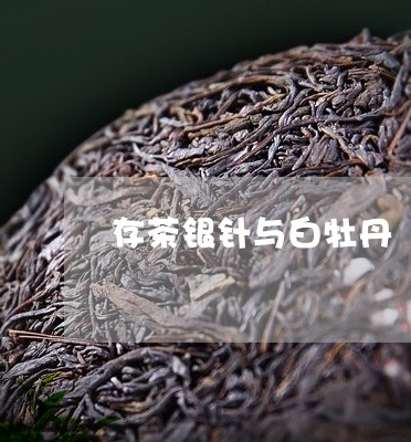 存茶银针与白牡丹/2023061835250