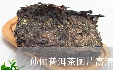 孙俪普洱茶图片高清图库/2023082955948