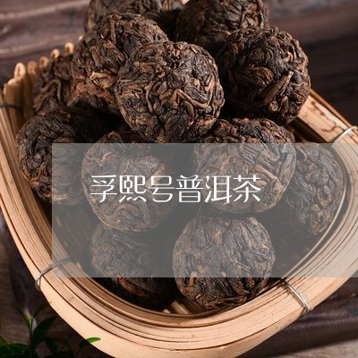 孚熙号普洱茶/2023042513169