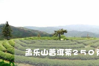 孟乐山普洱茶250克/2023100698360