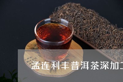 孟连利丰普洱茶深加工/2023092862783