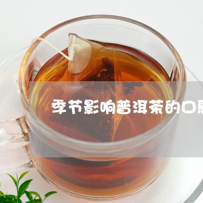 季节影响普洱茶的口感/2023100617293