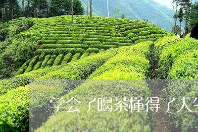 学会了喝茶懂得了人生/2023092111525