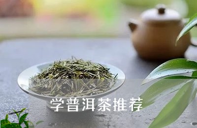 学普洱茶推荐/2023042674749