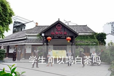 学生可以喝白茶吗/2023061830826