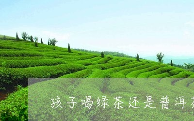 孩子喝绿茶还是普洱茶/2023080248082