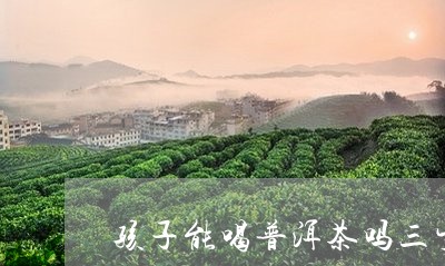 孩子能喝普洱茶吗三岁/2023120782927