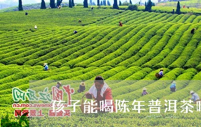 孩子能喝陈年普洱茶吗/2023092963925