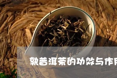 孰普洱茶的功效与作用/2023062386248