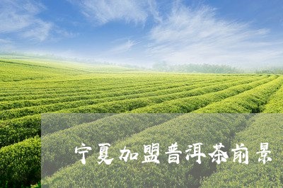 宁夏加盟普洱茶前景/2023042844706