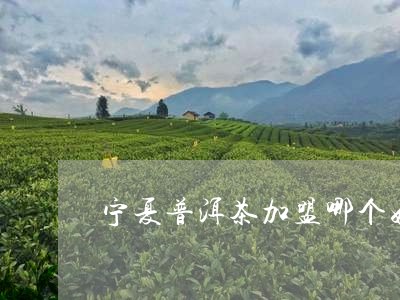 宁夏普洱茶加盟哪个好/2023092530483