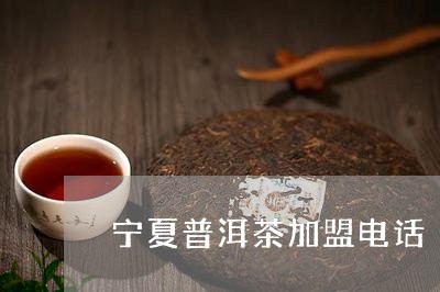 宁夏普洱茶加盟电话/2023120582615