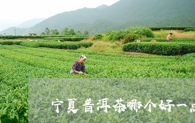 宁夏普洱茶哪个好一点的/2023082904159