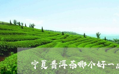 宁夏普洱茶哪个好一点的/2023121658264