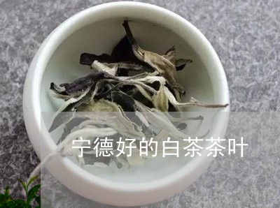 宁德好的白茶茶叶/2023061819713