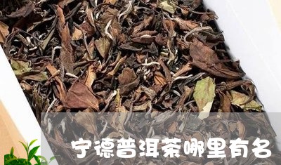 宁德普洱茶哪里有名/2023070977269