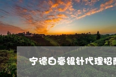 宁德白毫银针代理招商/2023093044047