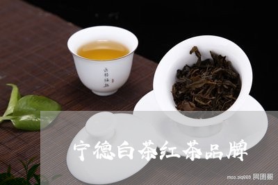 宁德白茶红茶品牌/2023061839814