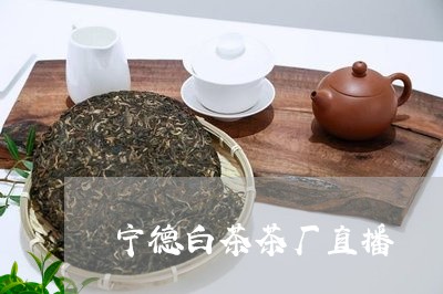 宁德白茶茶厂直播/2023061884040