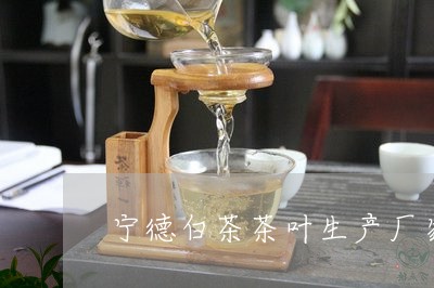 宁德白茶茶叶生产厂家/2023093049280