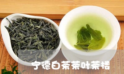 宁德白茶茶叶茶楼/2023061866271