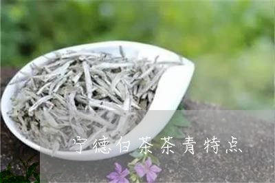 宁德白茶茶青特点/2023061845047