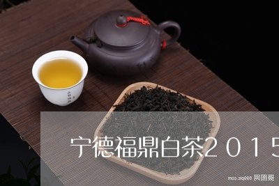 宁德福鼎白茶2015年/2023092240393