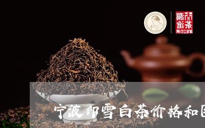 宁波印雪白茶价格和图片/2023102466379