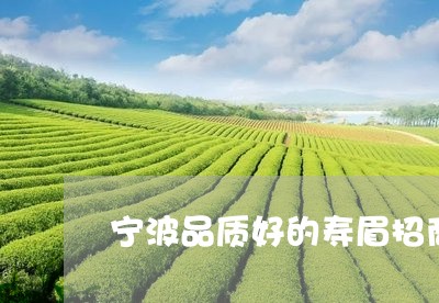 宁波品质好的寿眉招商/2023093007049