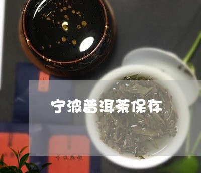 宁波普洱茶保存/2023082972937