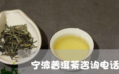 宁波普洱茶咨询电话号码/2023120752716