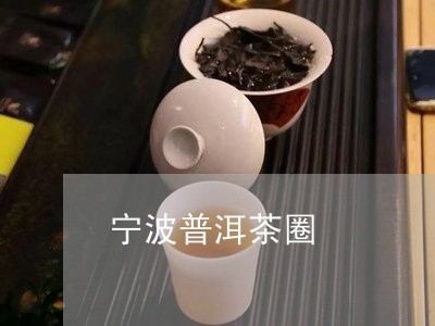 宁波普洱茶圈/2023042823331