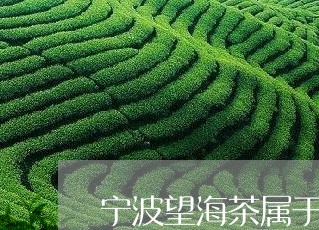 宁波望海茶属于什么茶/2023071469181