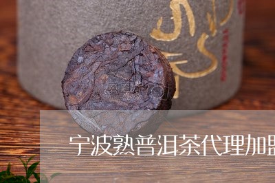 宁波熟普洱茶代理加盟/2023061492716