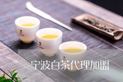 宁波白茶代理加盟/2023061892925