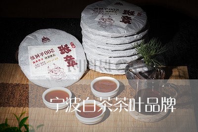 宁波白茶茶叶品牌/2023061876169