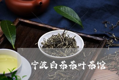 宁波白茶茶叶茶馆/2023061803937