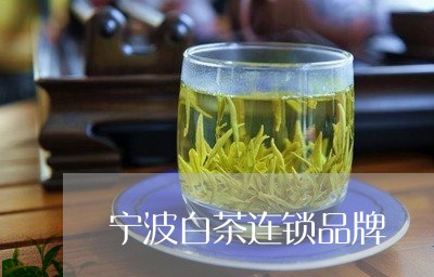 宁波白茶连锁品牌/2023061851483