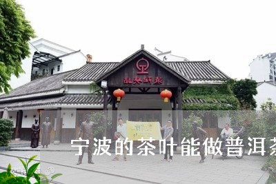 宁波的茶叶能做普洱茶吗/2023103191805