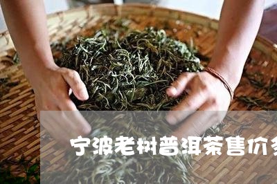 宁波老树普洱茶售价多少钱/2023112568293