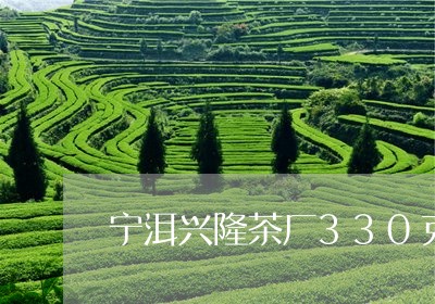 宁洱兴隆茶厂330克熟茶/2023051231481