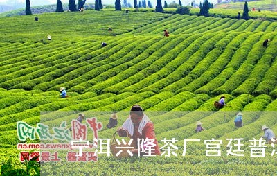 宁洱兴隆茶厂宫廷普洱茶价格/2023052955060