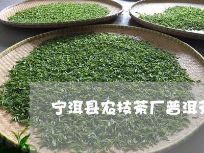 宁洱县农技茶厂普洱茶/2023080234031