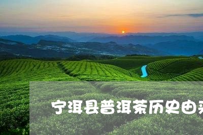 宁洱县普洱茶历史由来/2023120638381