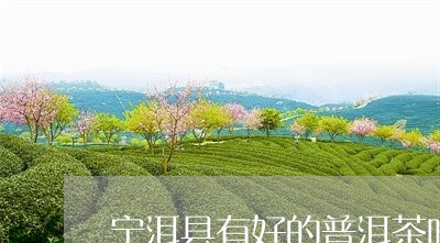 宁洱县有好的普洱茶吗/2023092768384