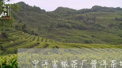 宁洱富稼茶厂普洱茶饼/2023073158469