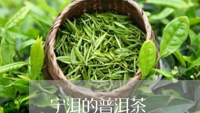 宁洱的普洱茶/2023042688605